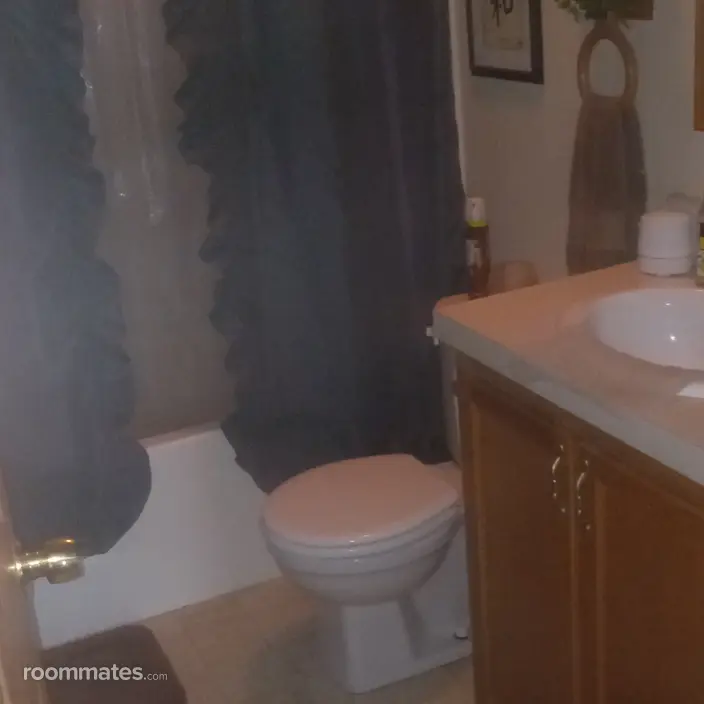Room for rent in Wayland, MI $600, house