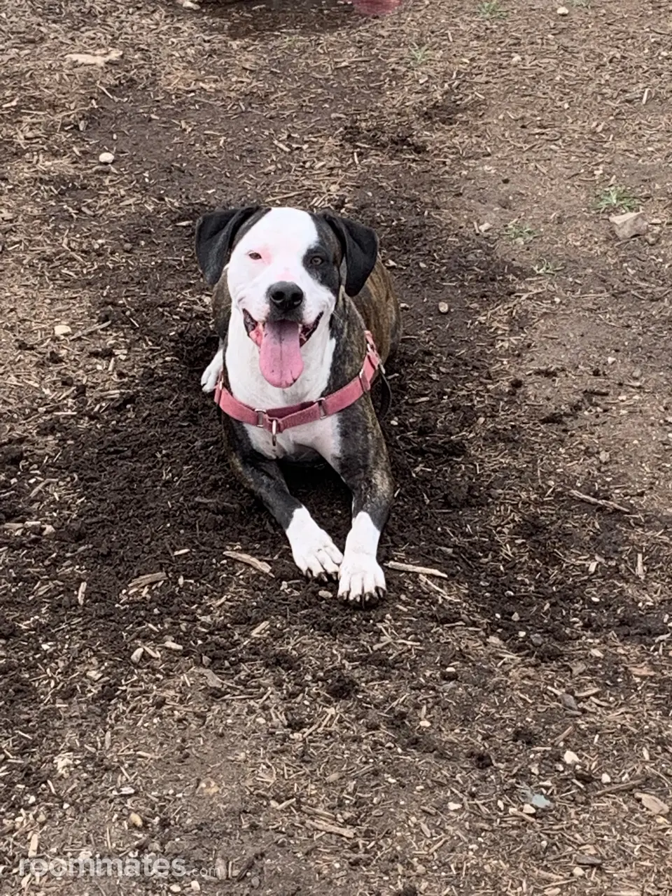 Profile photo 2 of 2