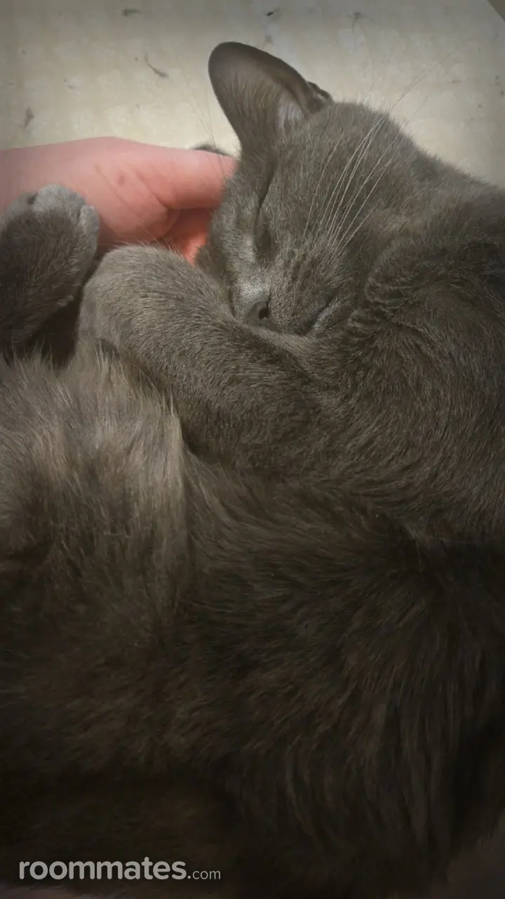 Profile photo 5 of 18