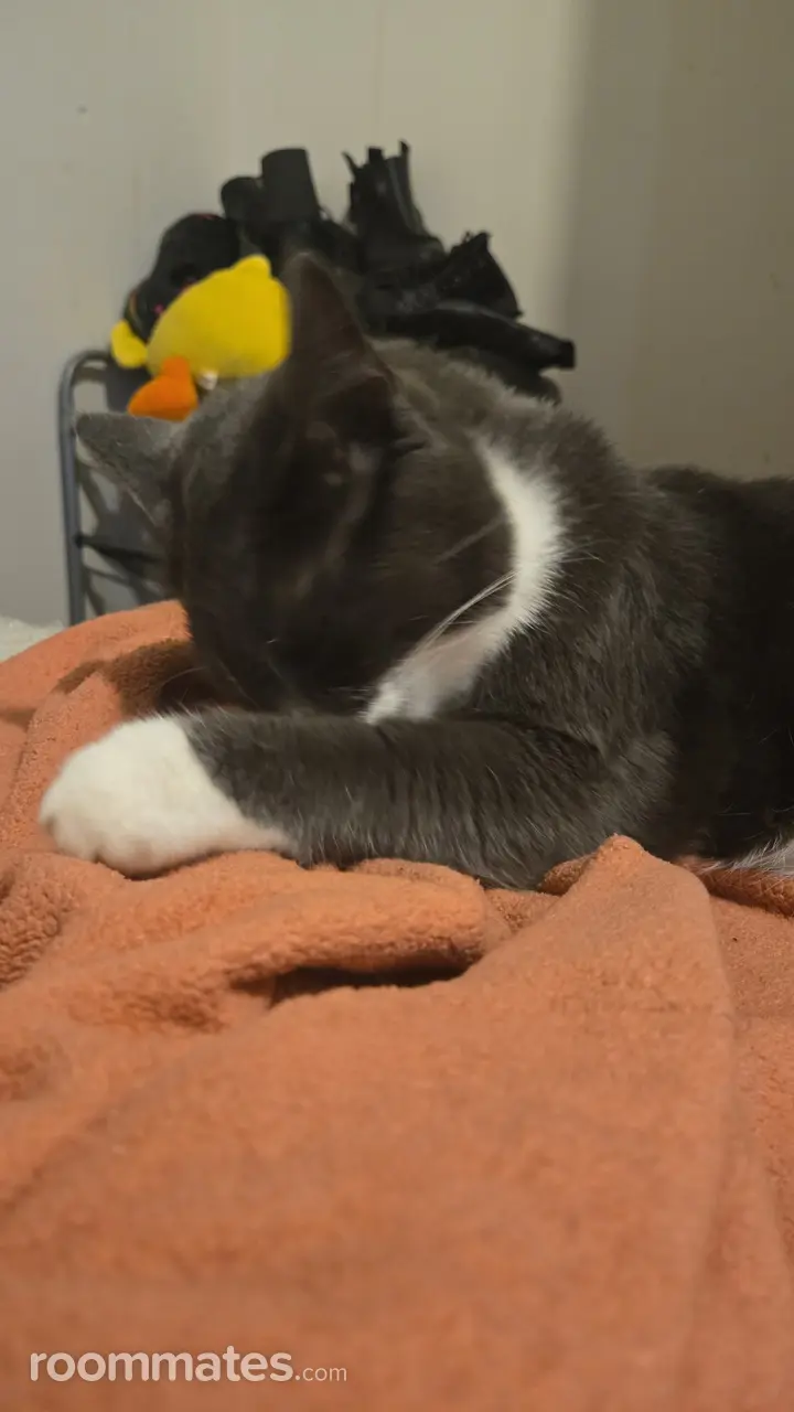 Profile photo 3 of 18