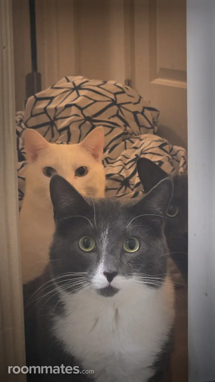 Profile photo 12 of 18