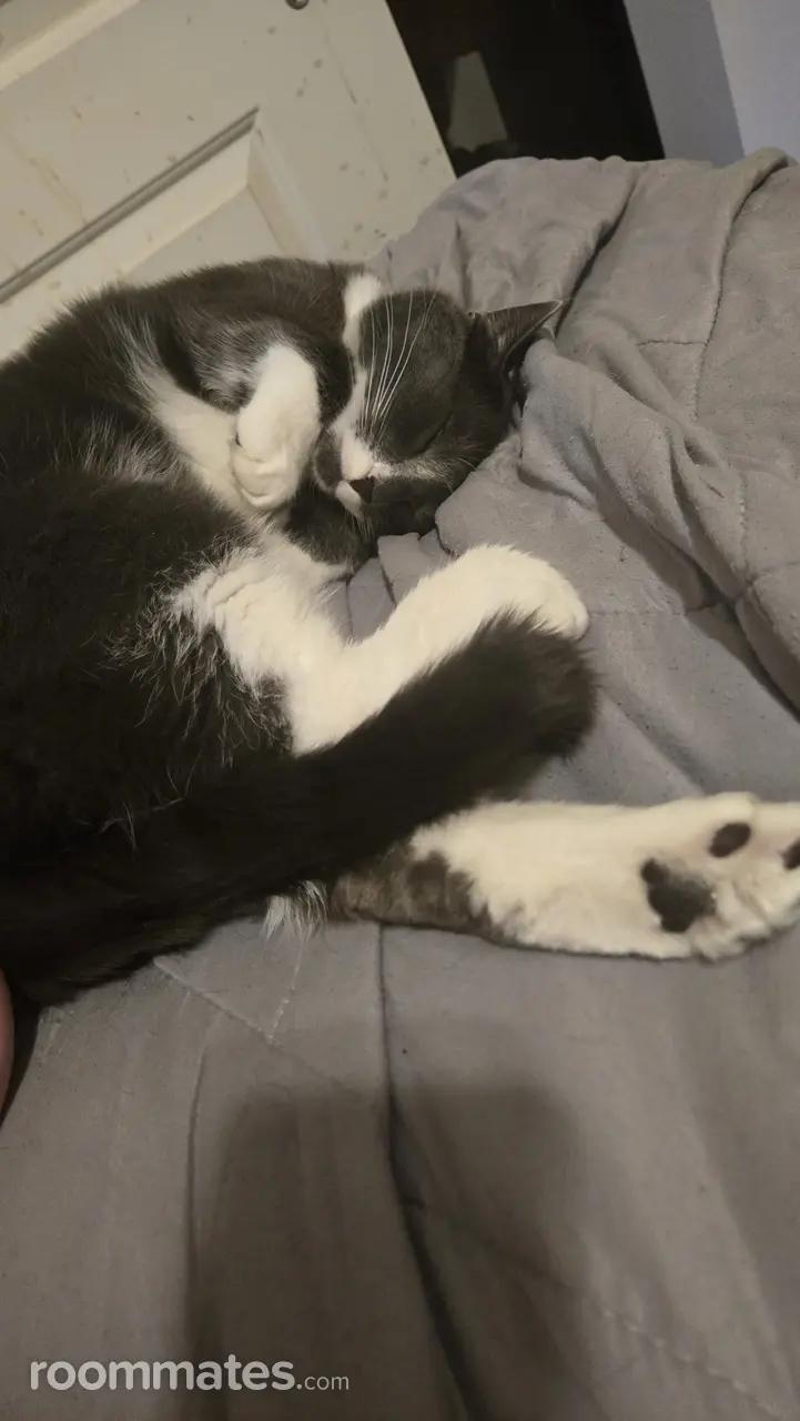 Profile photo 11 of 18