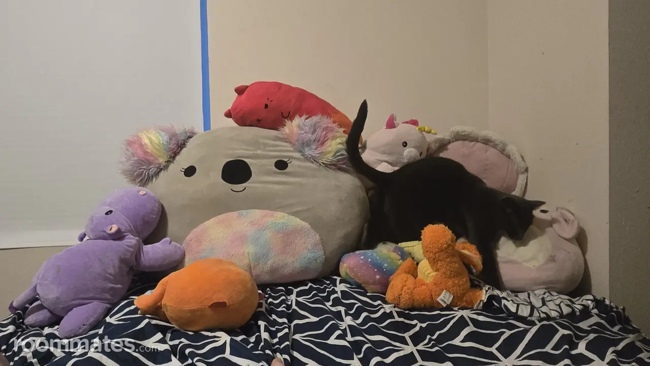 Profile photo 17 of 18