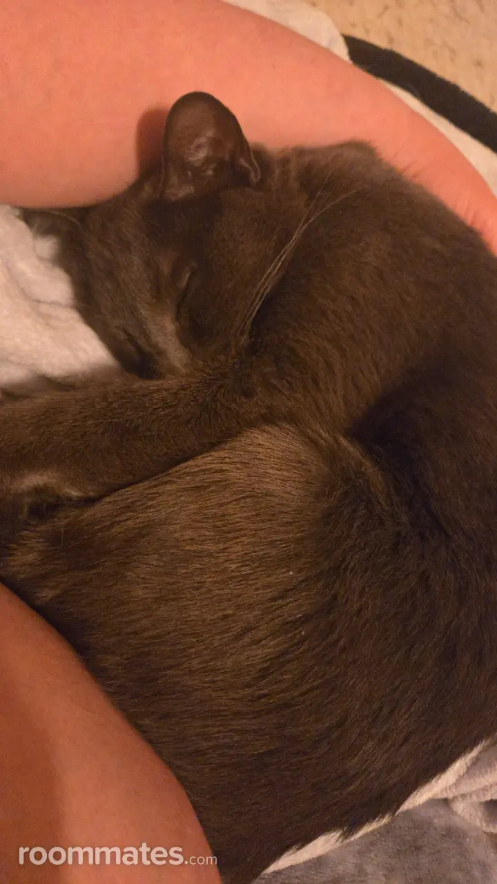 Profile photo 13 of 18