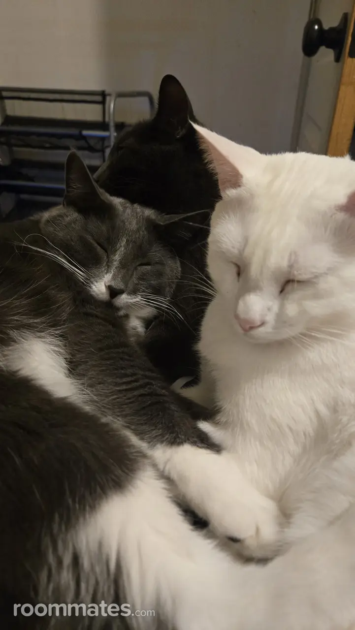 Profile photo 16 of 18