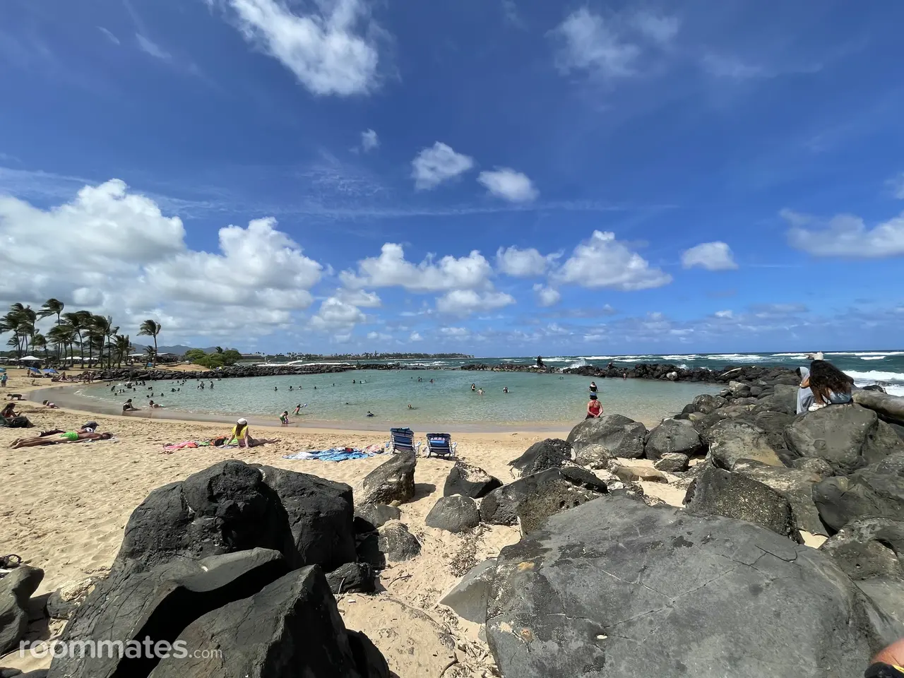 Profile photo 1 of 1