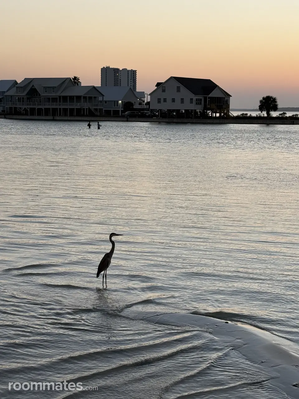 Profile photo 1 of 1