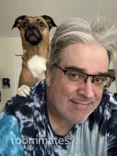 Roommate looking Magnolia, NJ, $1000