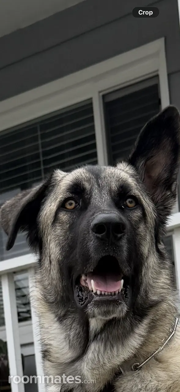 Profile photo 1 of 1