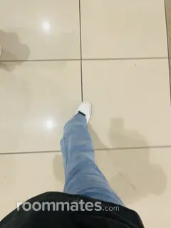 Roommate looking El Mirage, AZ, $900