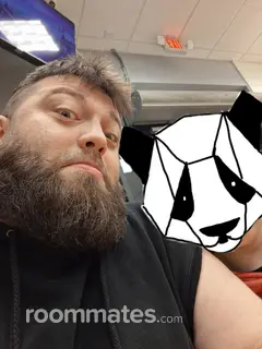 Roommate looking Minneapolis, MN, $800