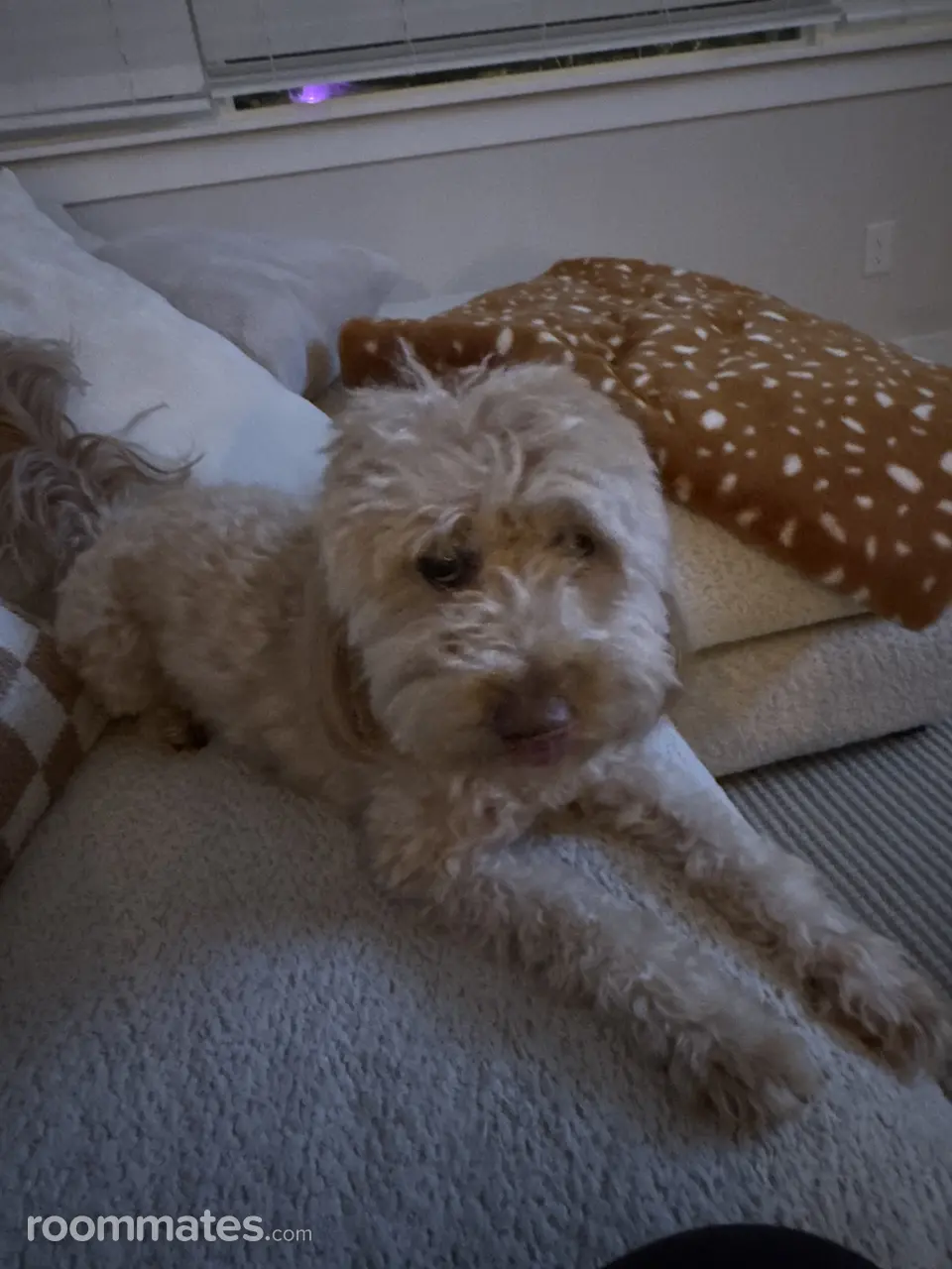 Profile photo 11 of 16