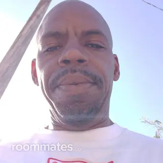 Roommate looking Portland OR, $1000