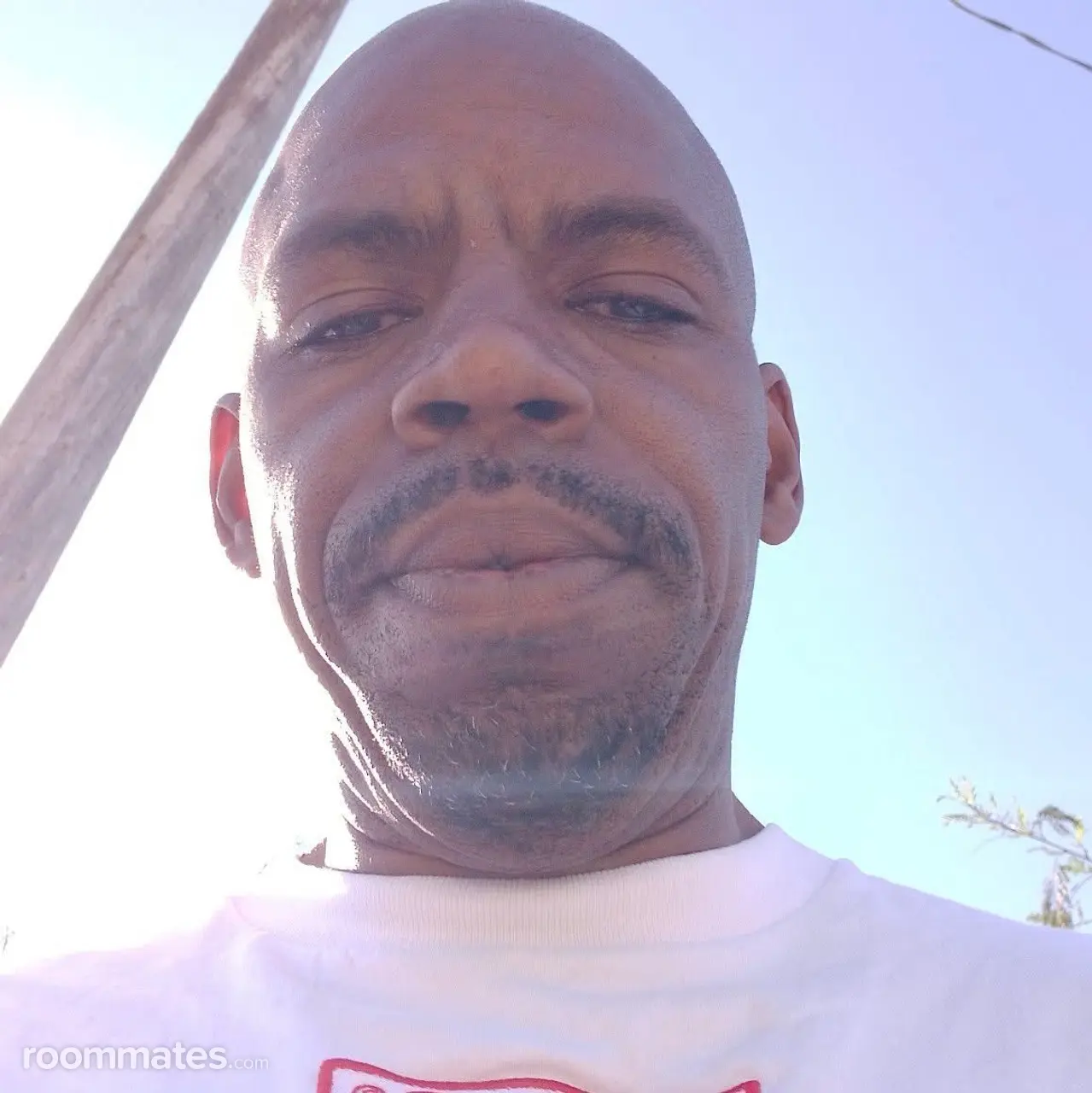 Profile photo 1 of 2