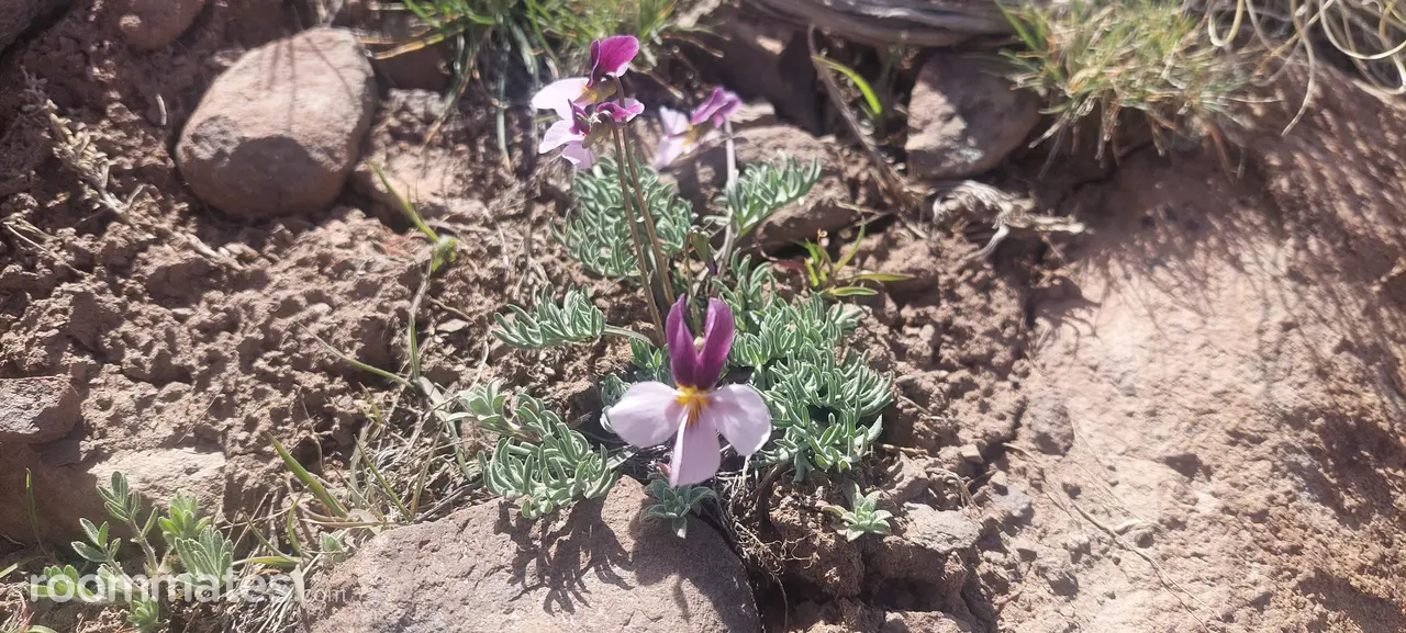 Profile photo 2 of 2