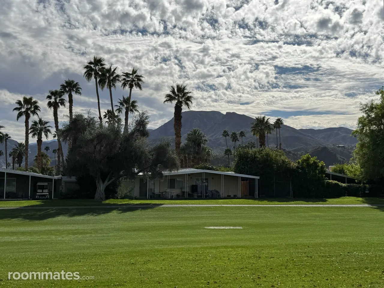 Profile photo 2 of 11