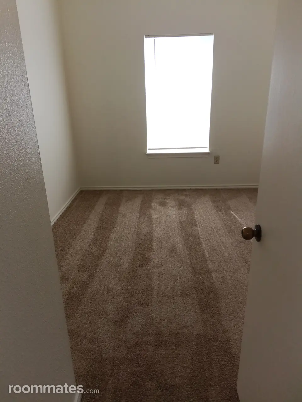 Profile photo 10 of 11