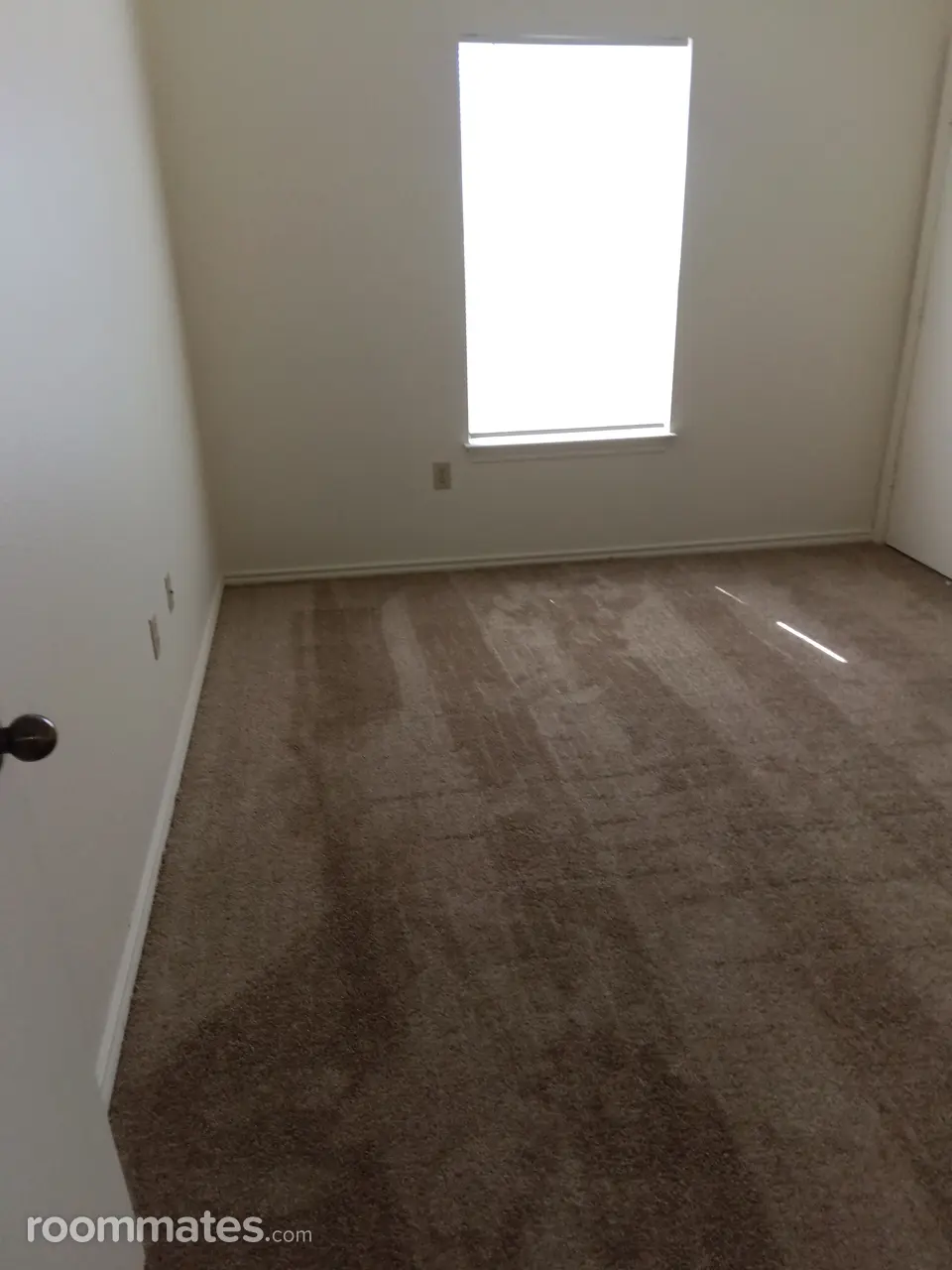 Profile photo 8 of 11