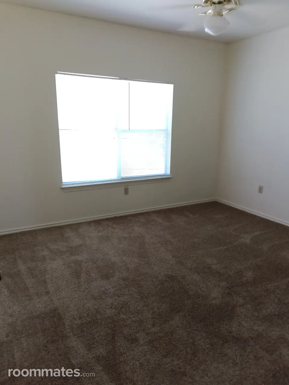 Profile photo 9 of 11