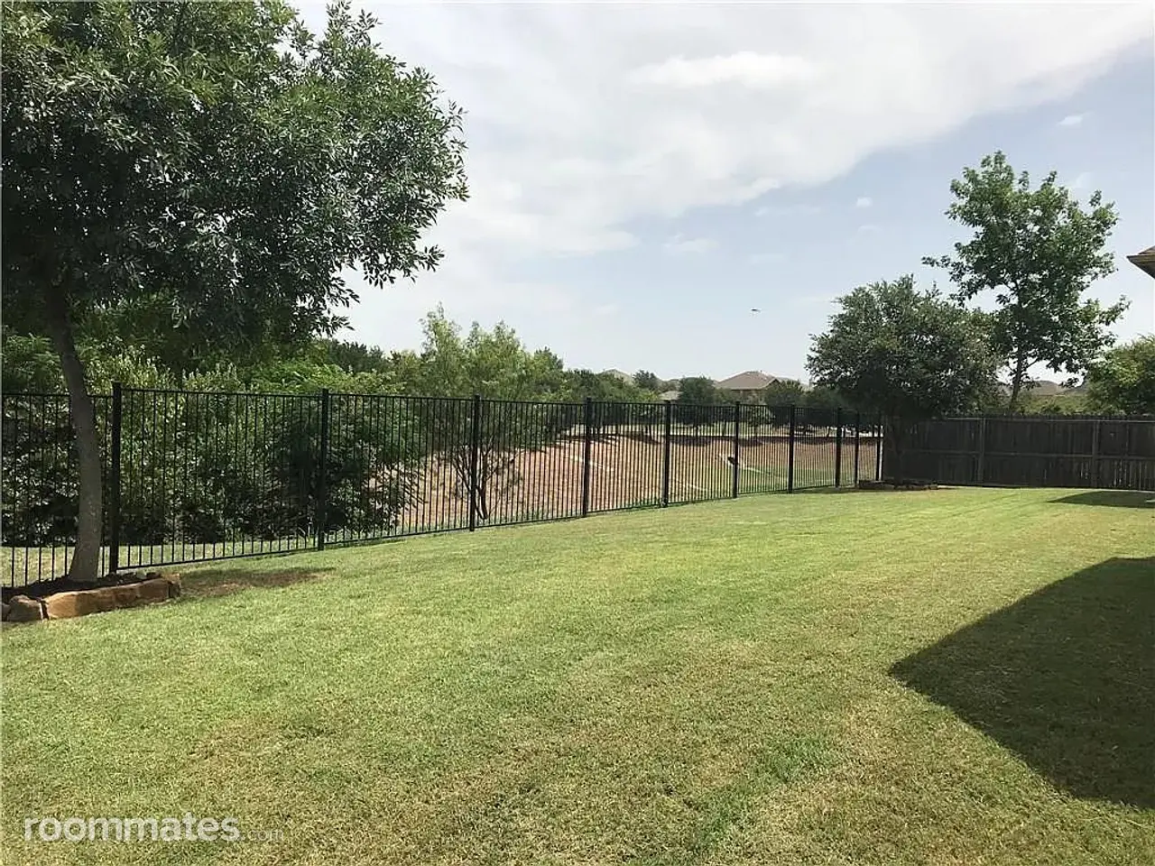 Profile photo 10 of 11