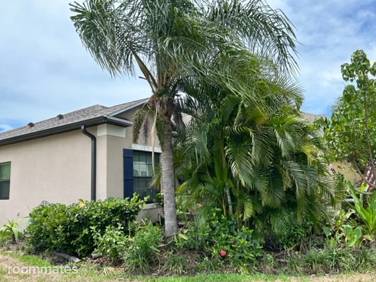 Profile photo 6 of 6