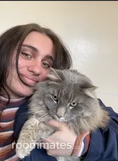 Roommate looking Pittsburgh, PA, $900