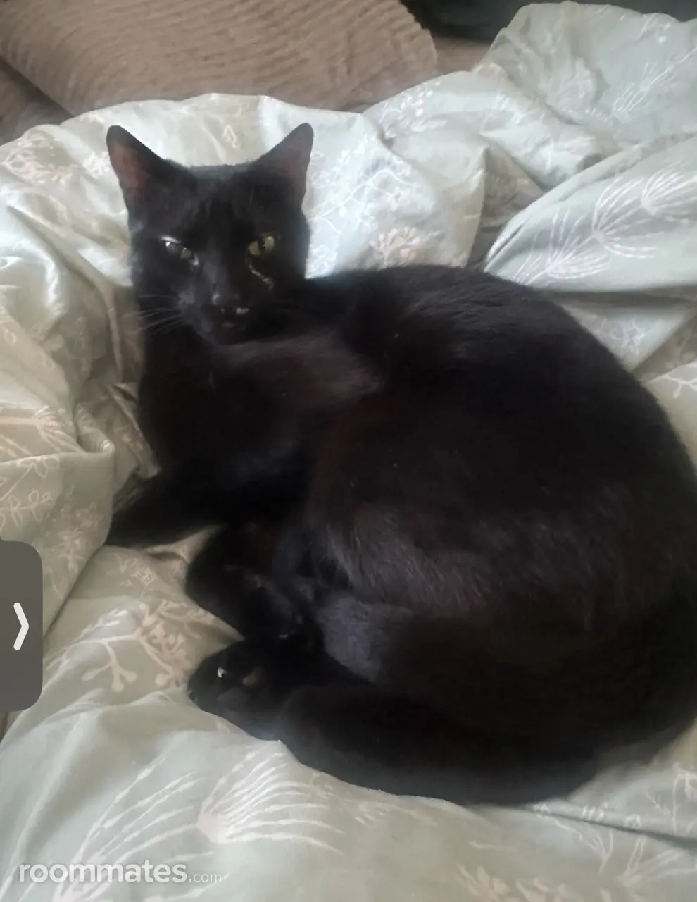 Profile photo 2 of 2