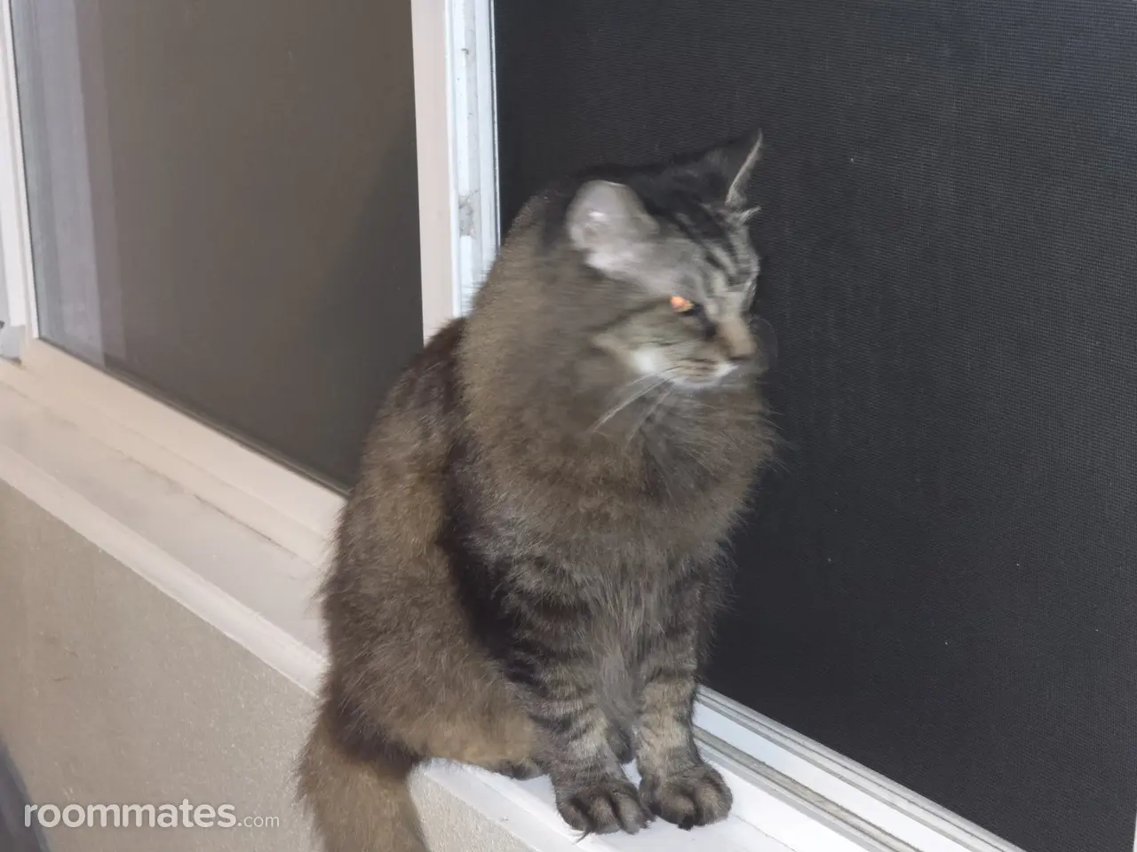 Profile photo 2 of 2