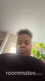 Roommate looking New Haven, CT, $1100