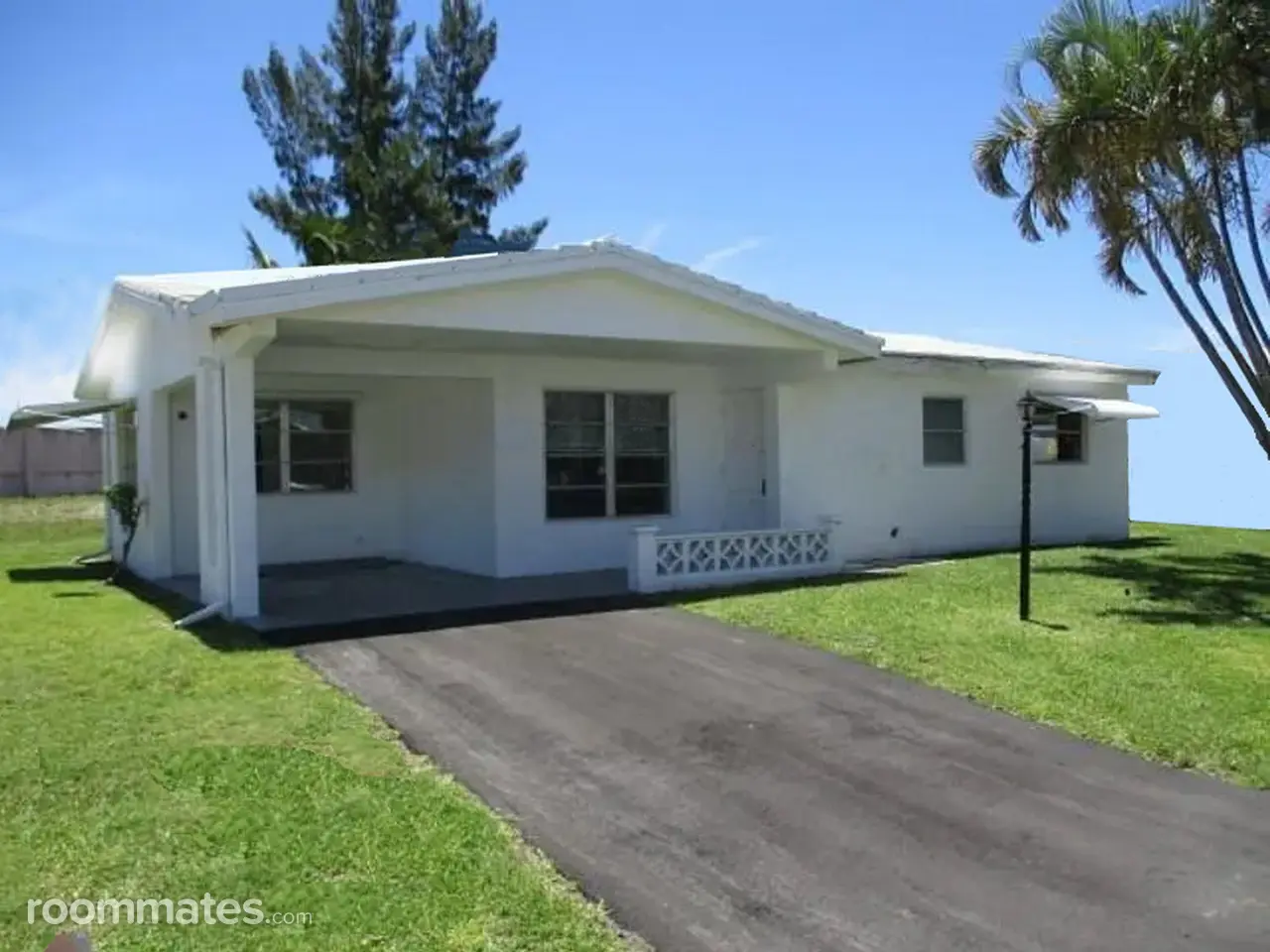 Profile photo 2 of 11