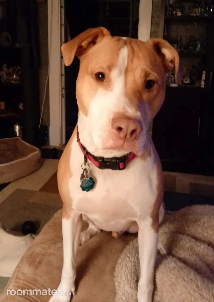 Profile photo 1 of 2