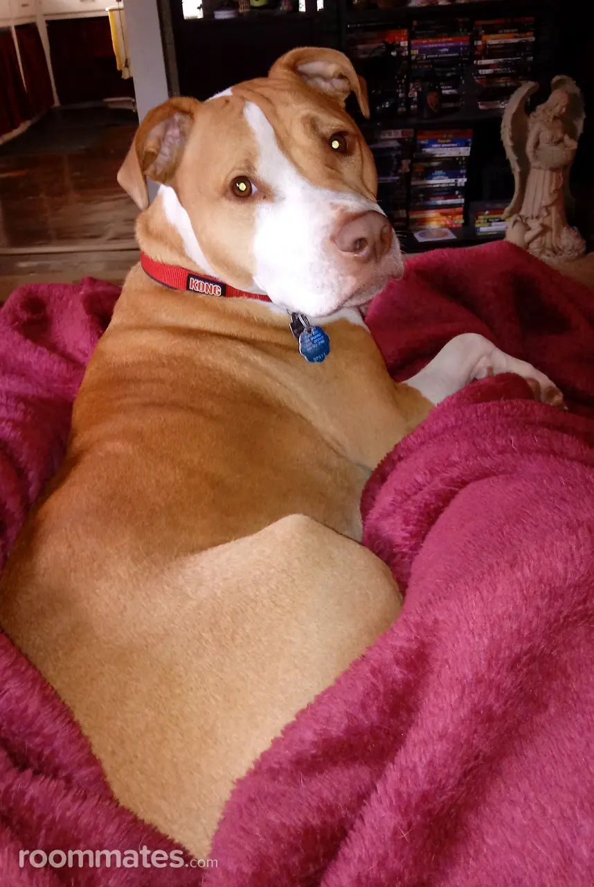 Profile photo 2 of 2