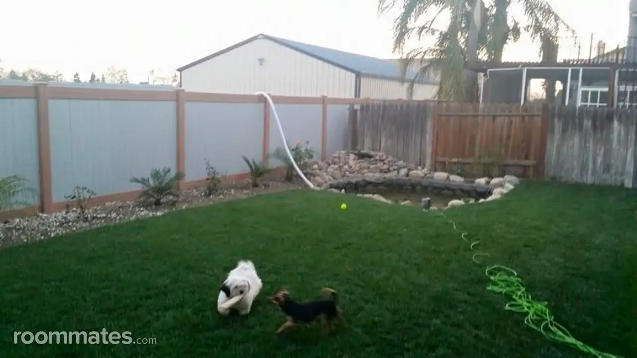 Profile photo 5 of 8