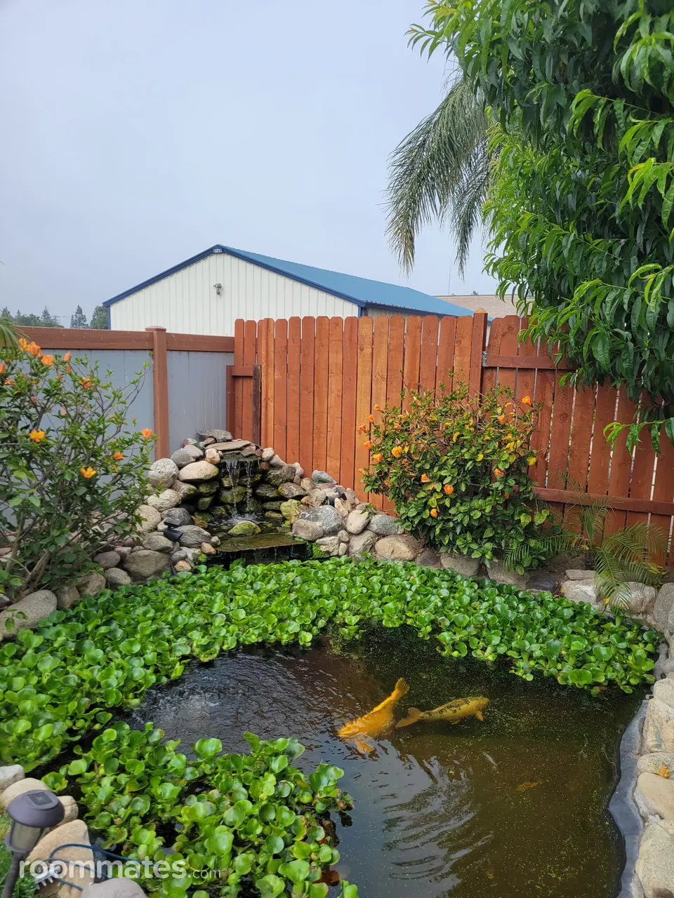 Profile photo 6 of 8