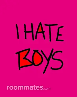 Roommate looking Huntersville, NC, $1100