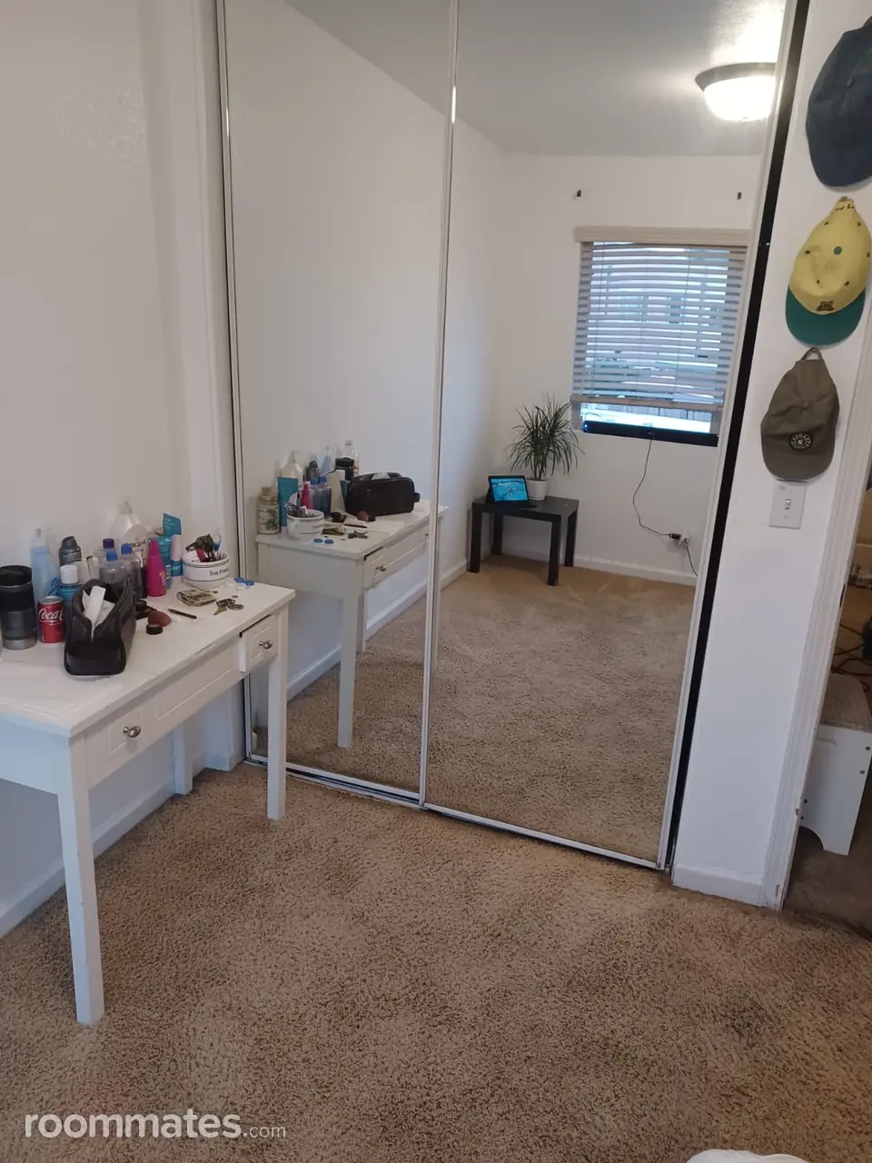 Profile photo 10 of 11