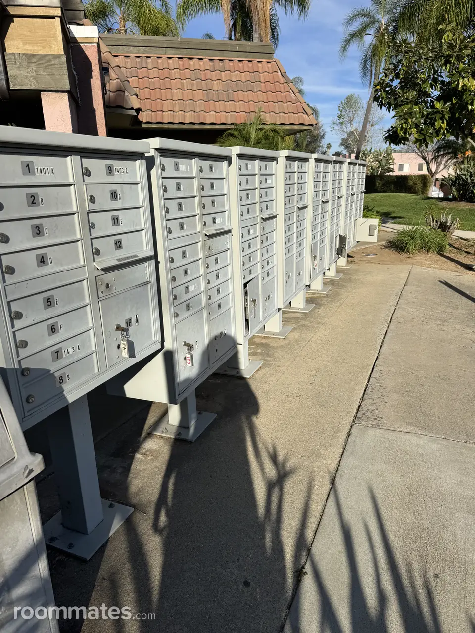 Profile photo 1 of 11