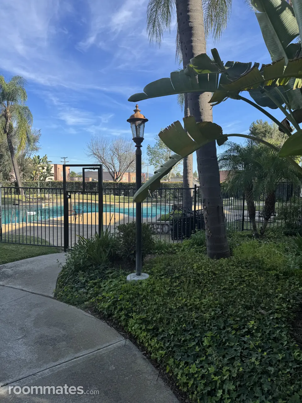 Profile photo 9 of 11