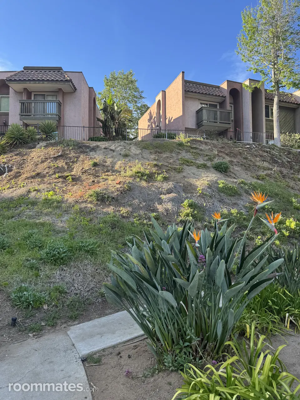 Profile photo 7 of 11