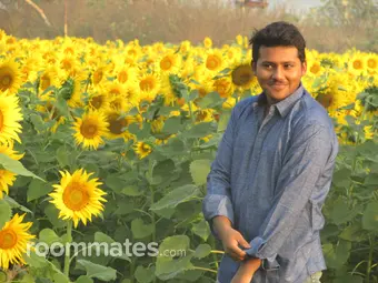 Roommate looking Wall Township, NJ, $900