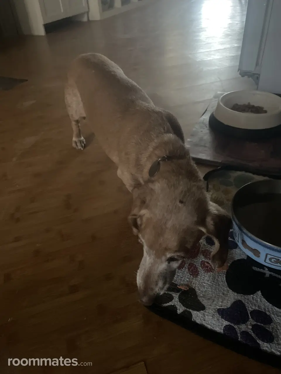 Profile photo 7 of 7