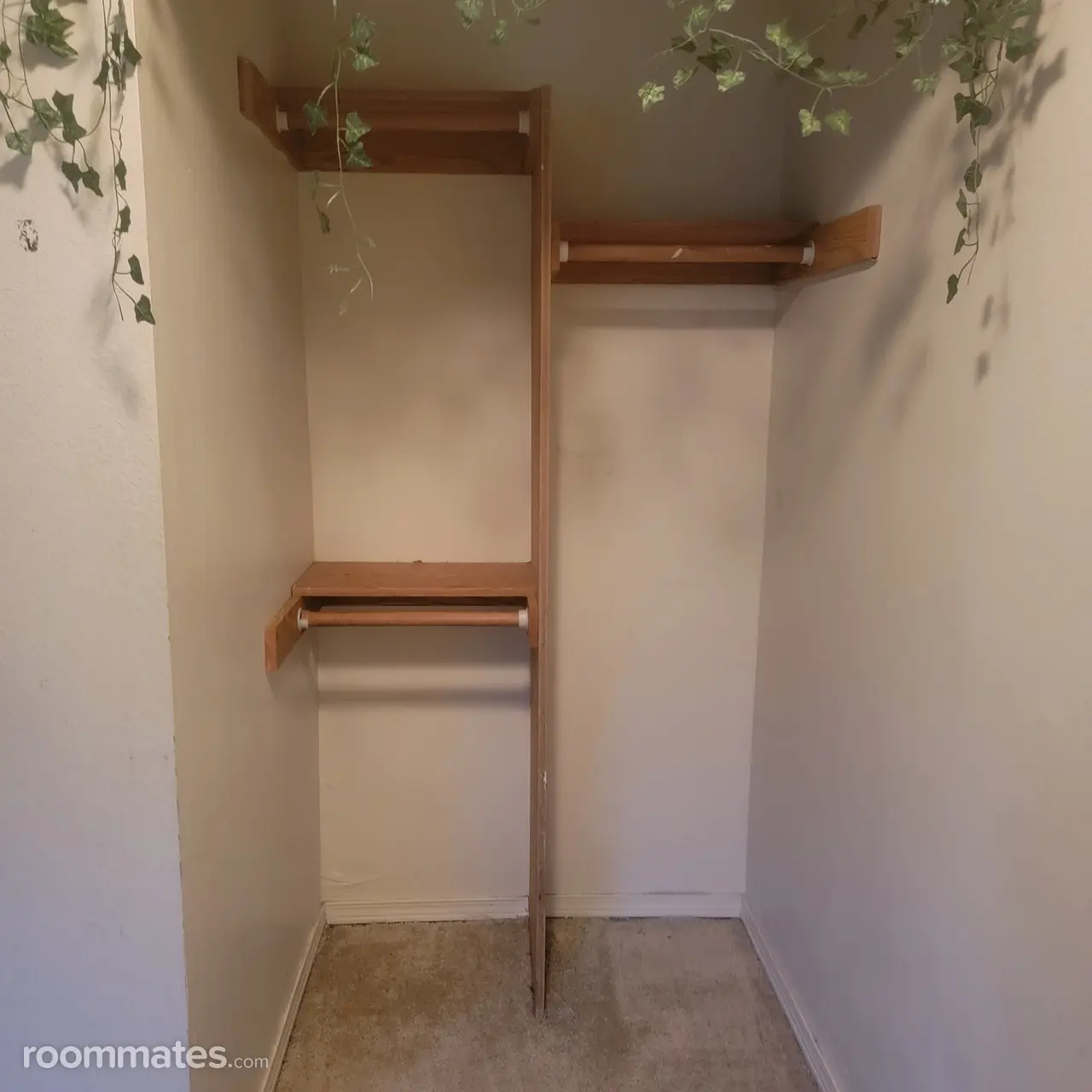 Profile photo 1 of 5