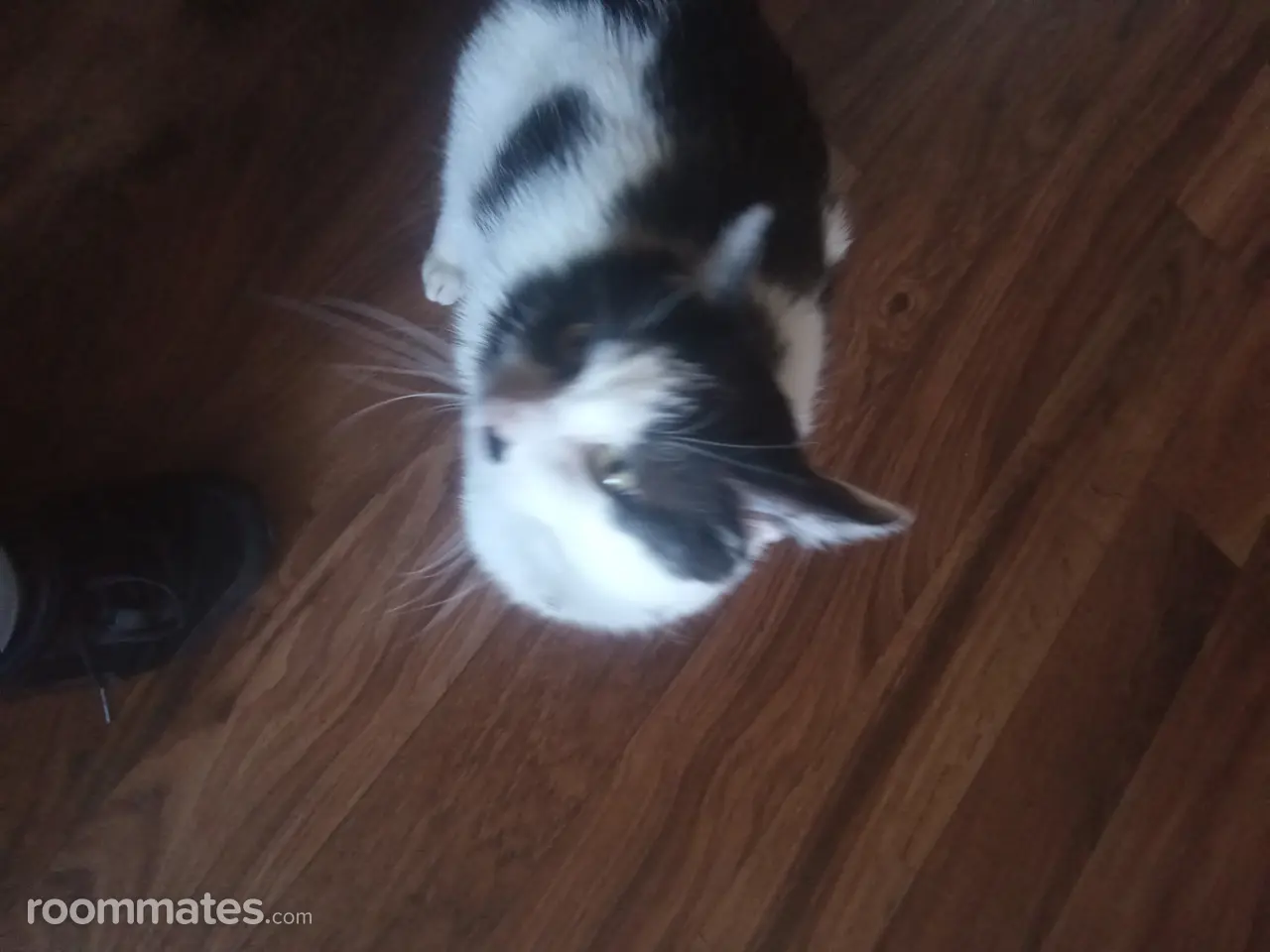 Profile photo 3 of 3