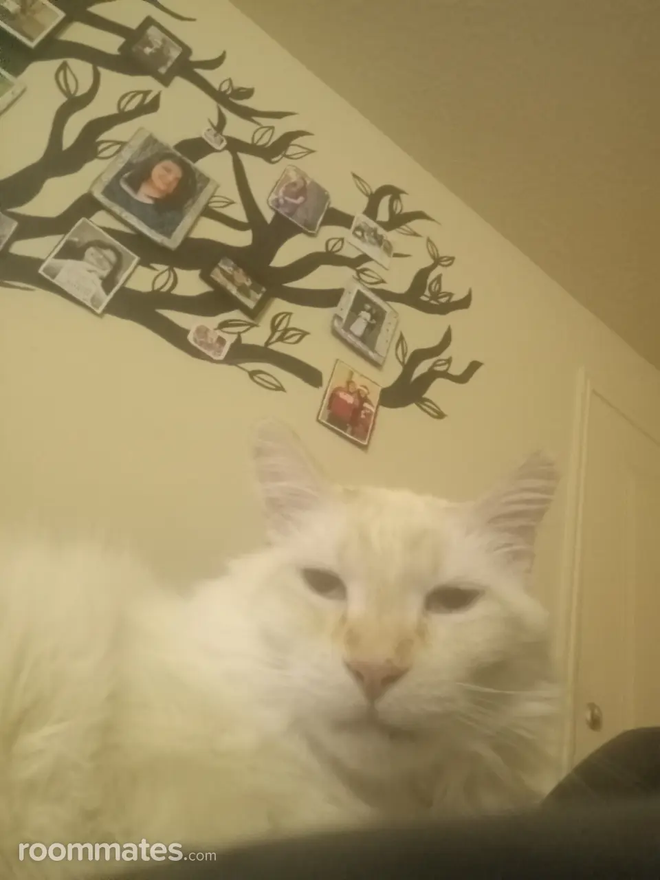 Profile photo 2 of 3