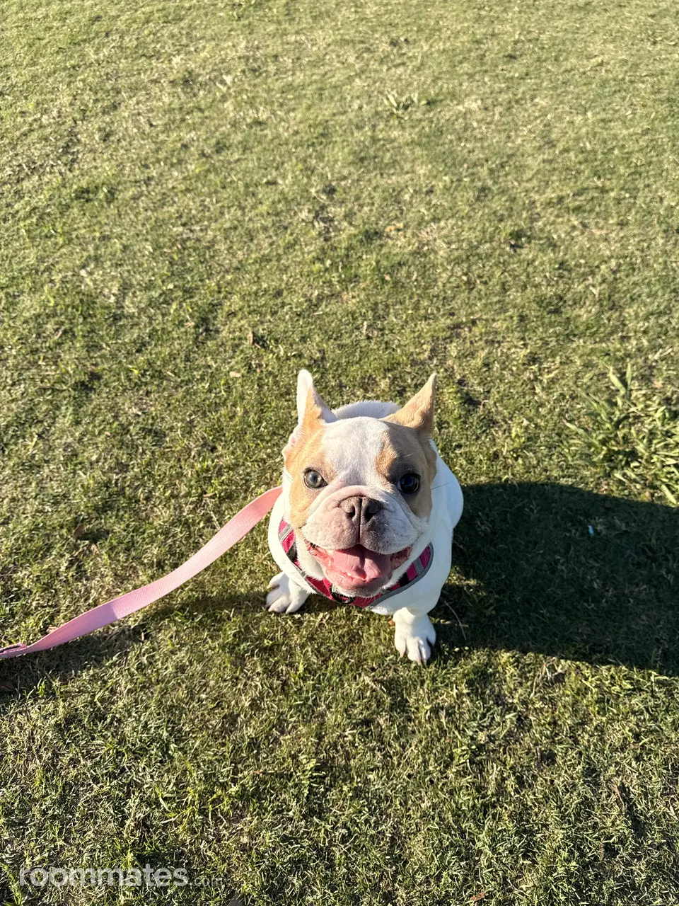 Profile photo 10 of 12