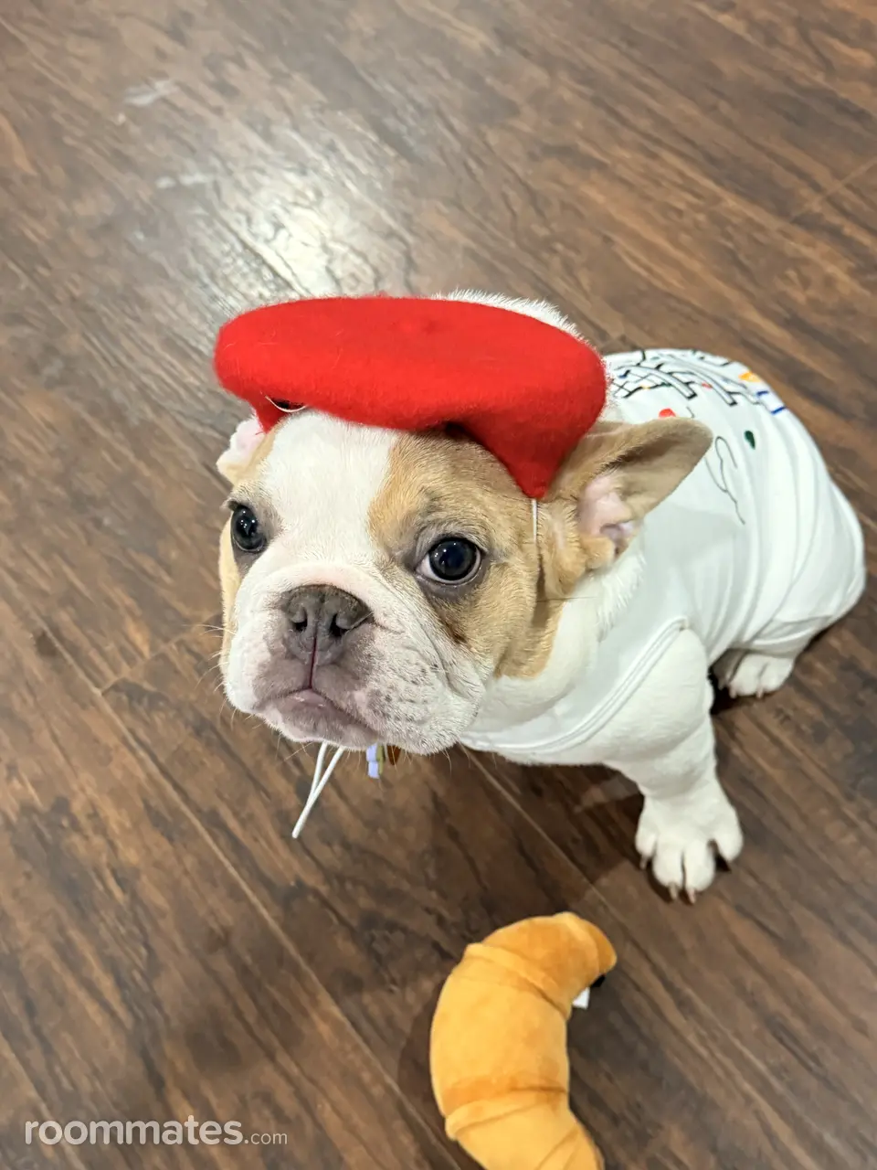 Profile photo 9 of 12