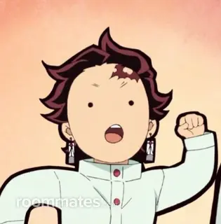 Roommate looking O Fallon, MO, $1000