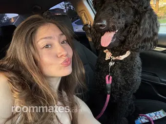 Roommate looking San Dimas, CA, $900