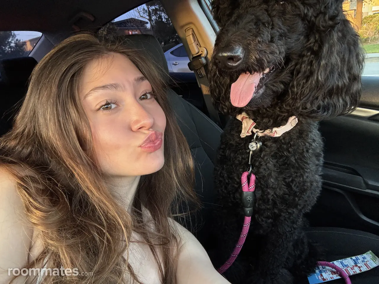 Profile photo 1 of 1