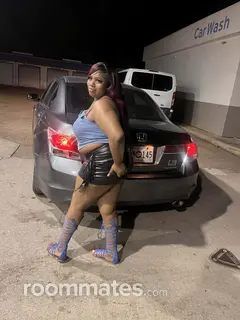 Roommate looking Gulfport, MS, $1000